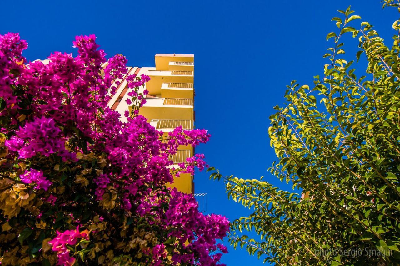 706 Minerva Apartamentos - Vista Al Mar Y La Piscina - Piscina Y Playa ベナルマデナ エクステリア 写真