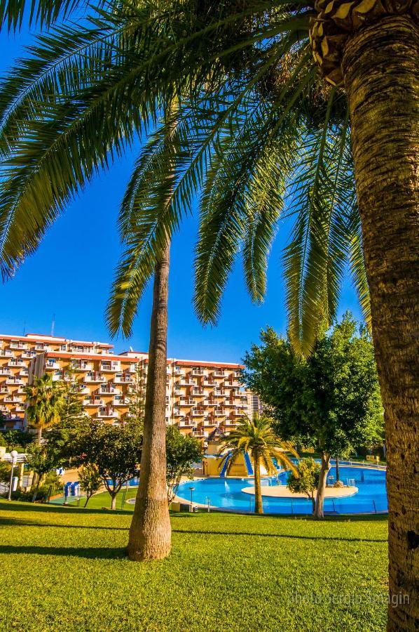 706 Minerva Apartamentos - Vista Al Mar Y La Piscina - Piscina Y Playa ベナルマデナ エクステリア 写真