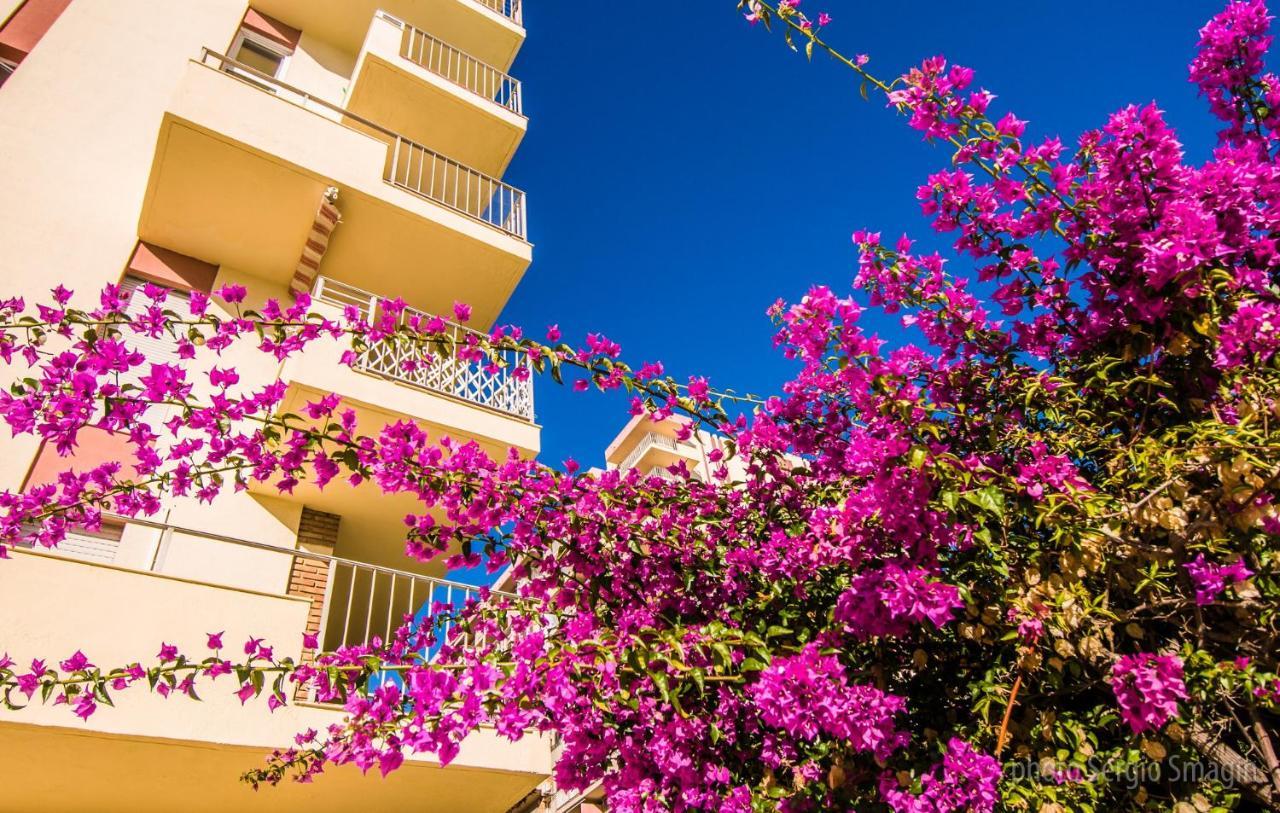 706 Minerva Apartamentos - Vista Al Mar Y La Piscina - Piscina Y Playa ベナルマデナ エクステリア 写真